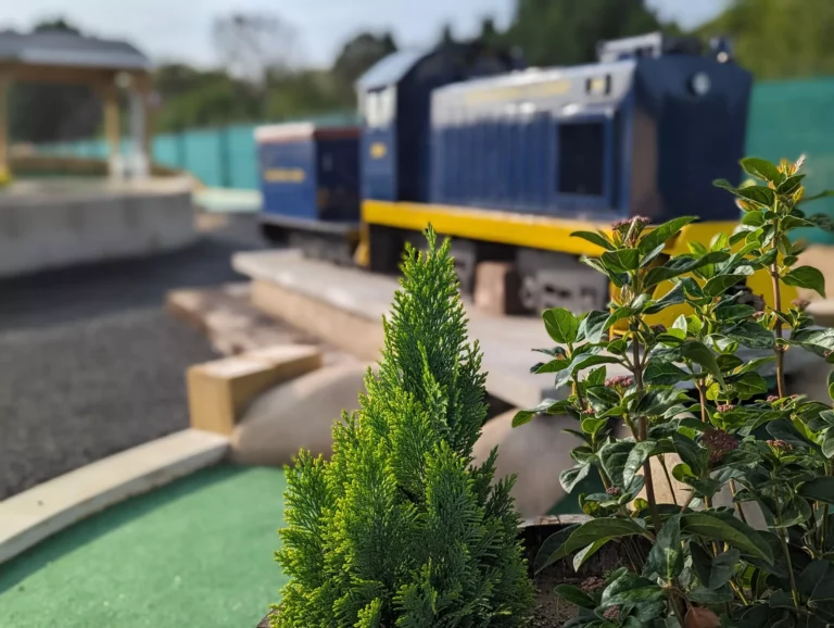 Planting with a locomotive feature beyond the putting green
