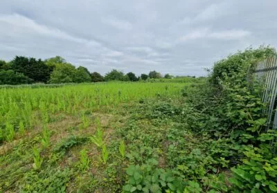 20230608-092115-scaled-400x280-c-68efc3f3aebbd