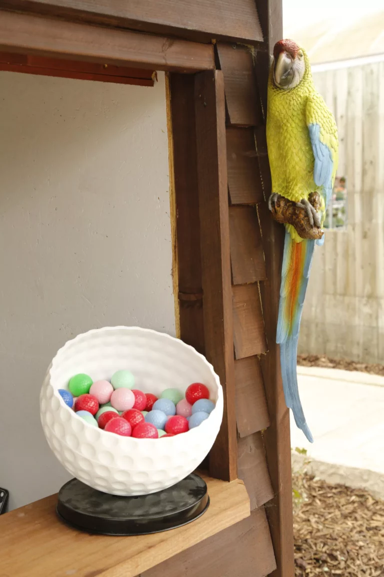 93a2861-scaled-68efd4d5d0443