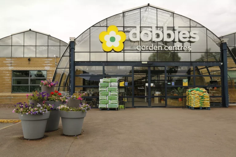 93a3053-scaled-68efcbd79092b