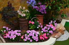 Crazy-Golf-film-thumb