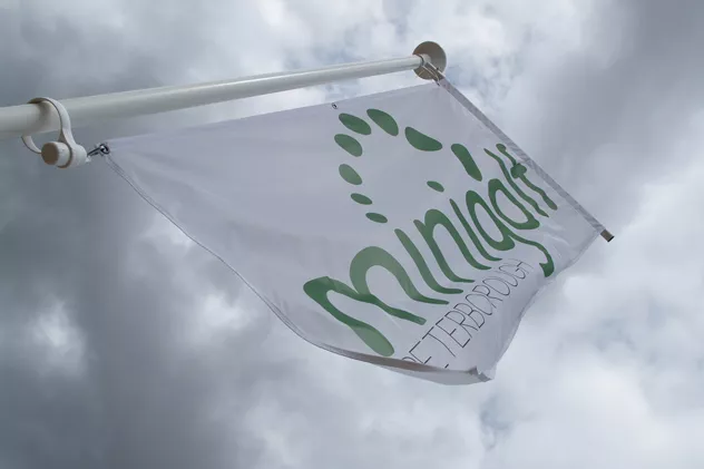 flying-the-flag-for-peterb-68f252be5edf0